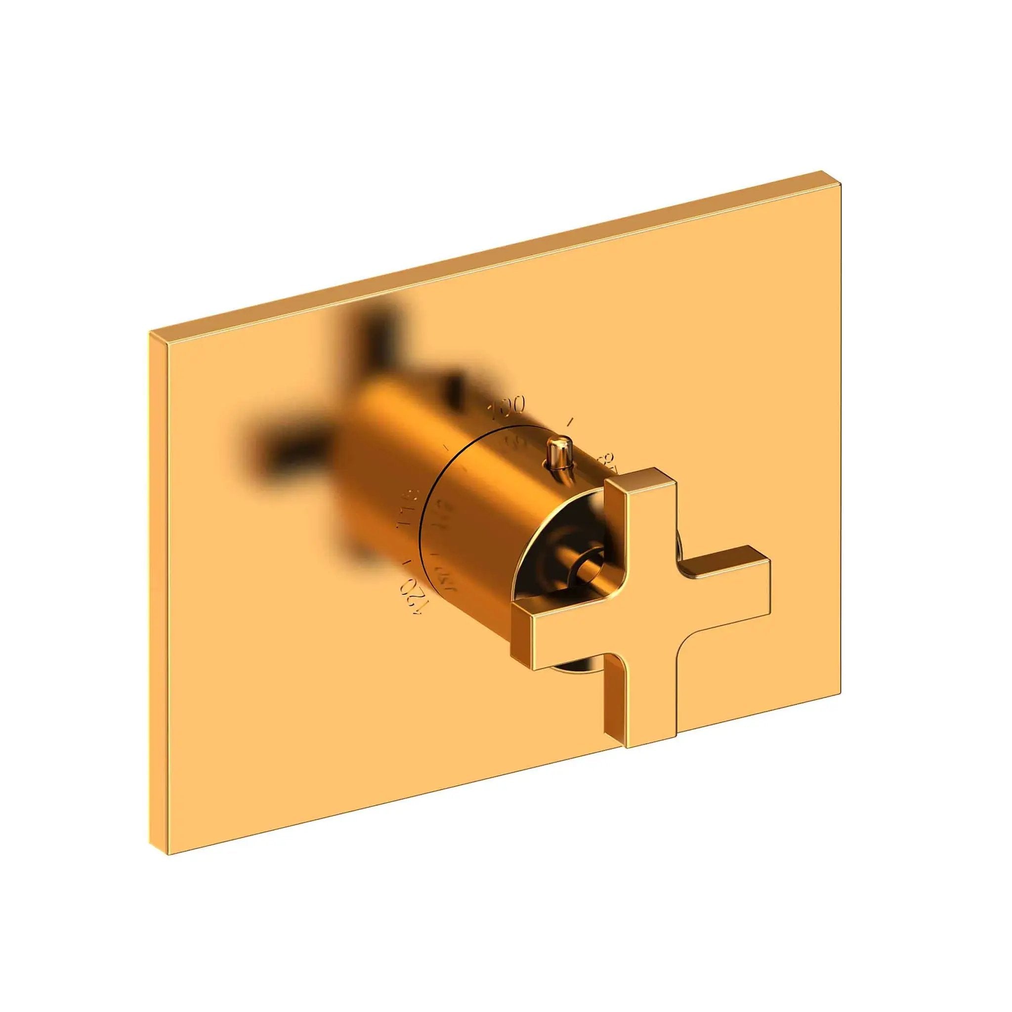 Newport Brass Secant 3/4" Rectangular Thermostatic Trim Plate with Handle by Newport Brass