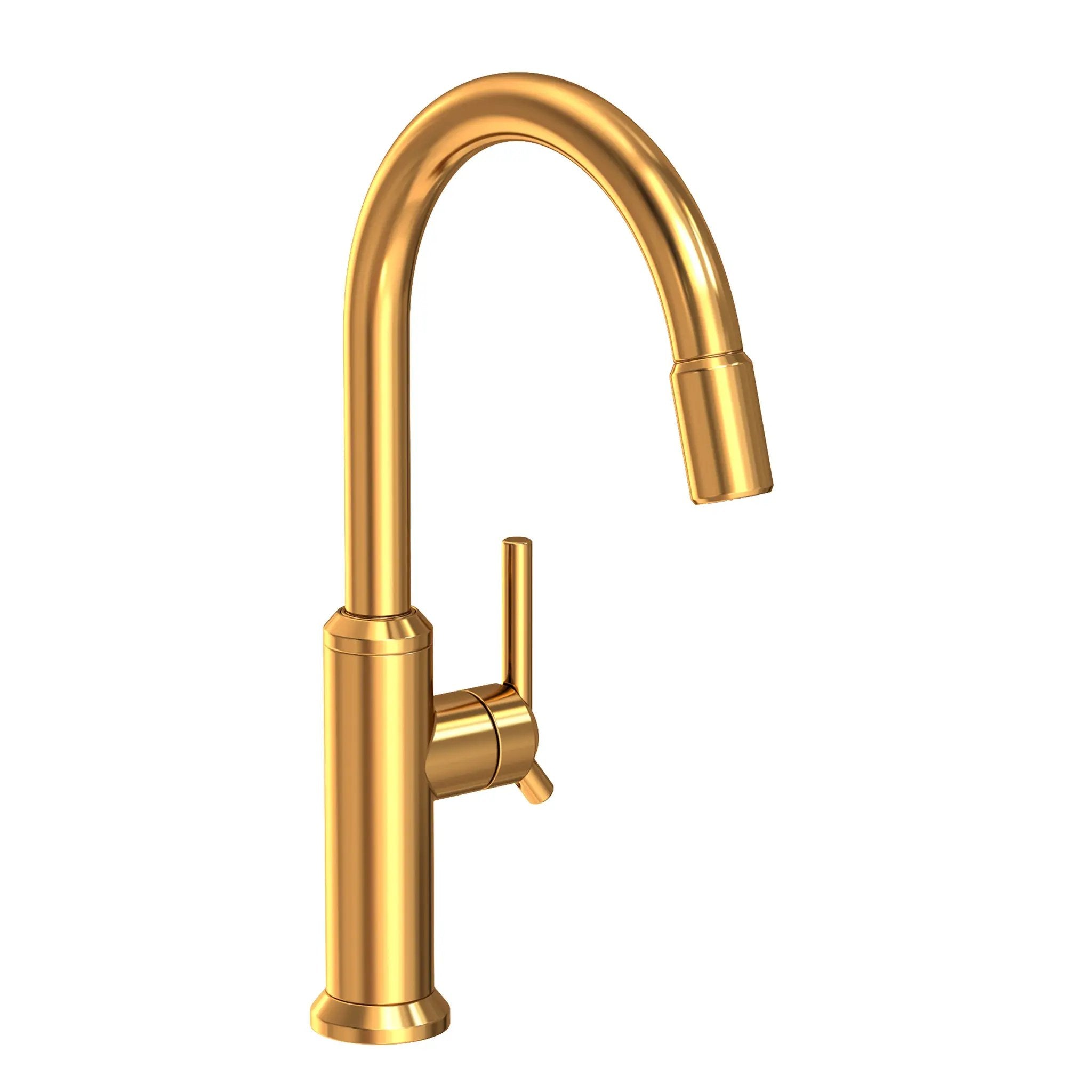 Newport Brass Jeter Pull-down Kitchen Faucet by Newport Brass