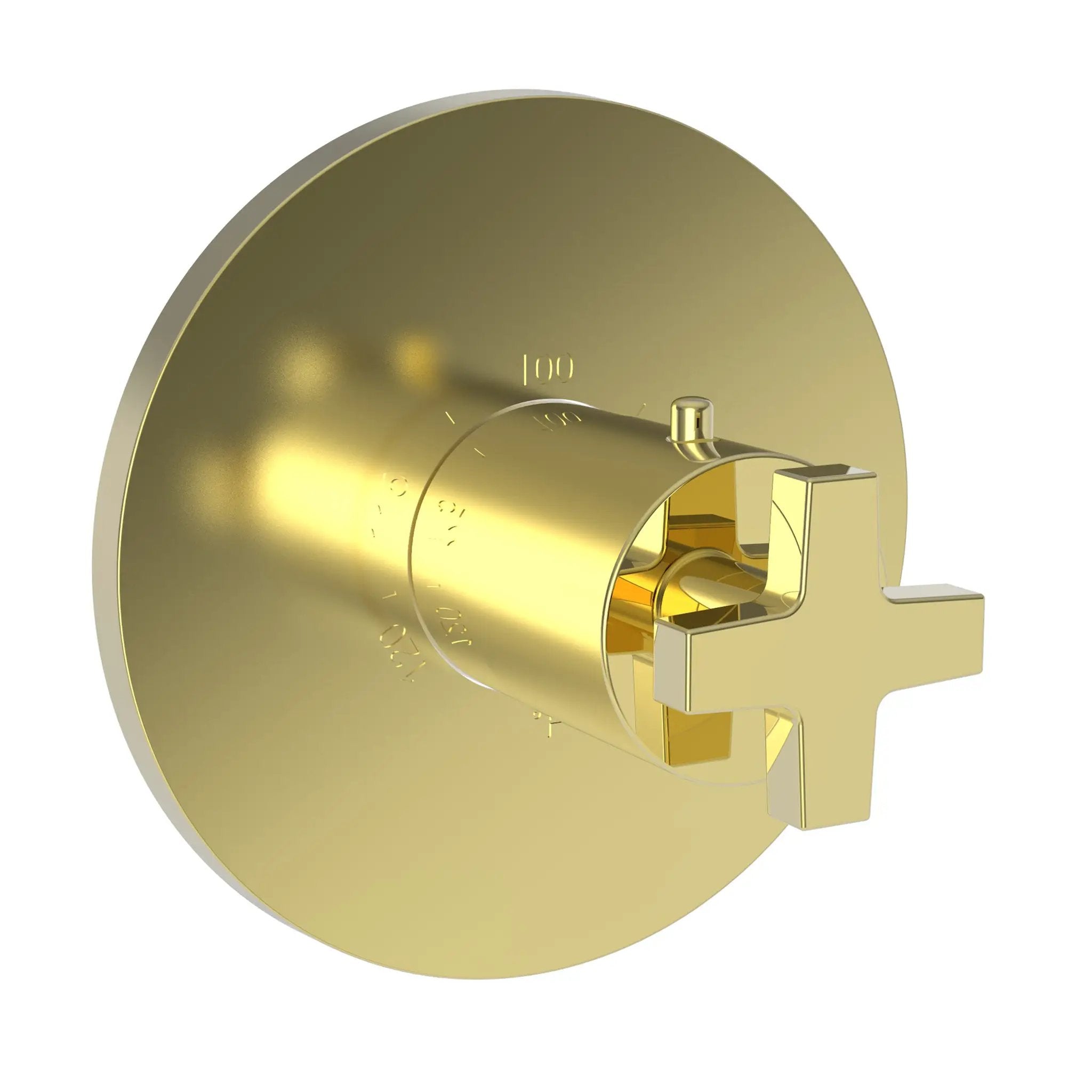 Newport Brass Dorrance 3/4" Round Thermostatic Trim Plate with Handle by Newport Brass