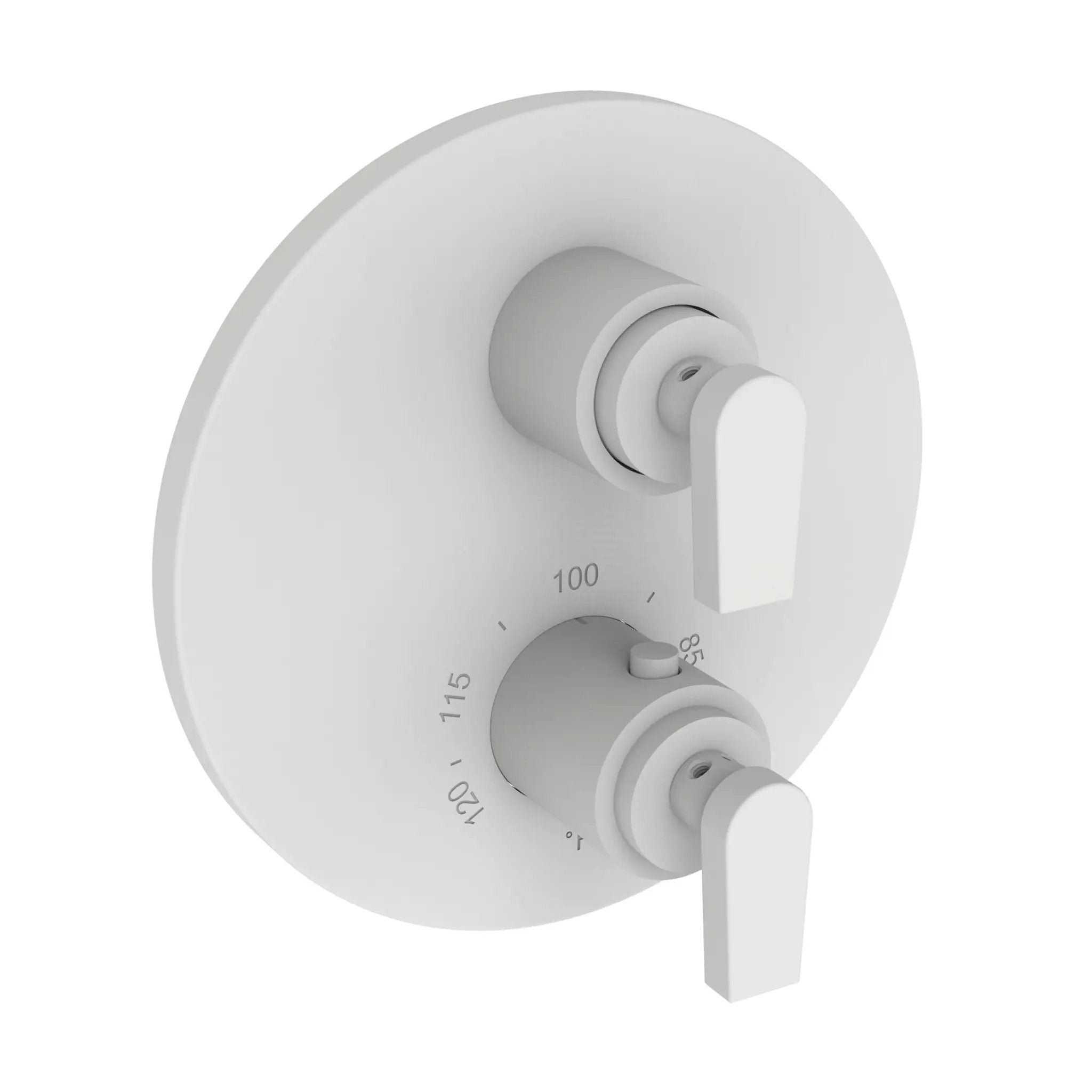 Newport Brass Dorrance 1/2" Round Thermostatic Trim Plate with Handle by Newport Brass