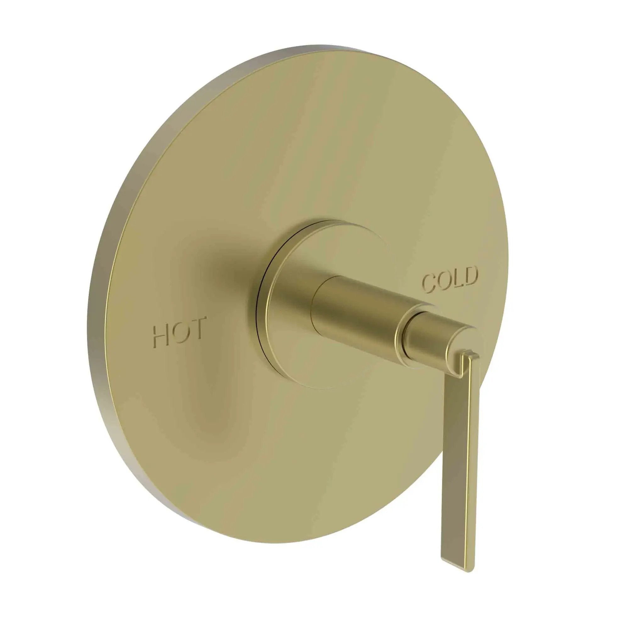 Newport Brass Tolmin Balanced Pressure Shower Trim Plate with Handle. Less showerhead, arm and flange. by Newport Brass
