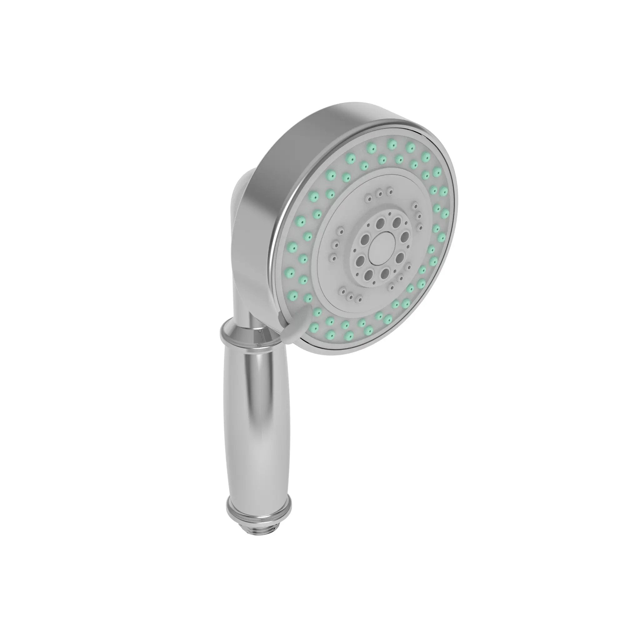polished chrome hand shower