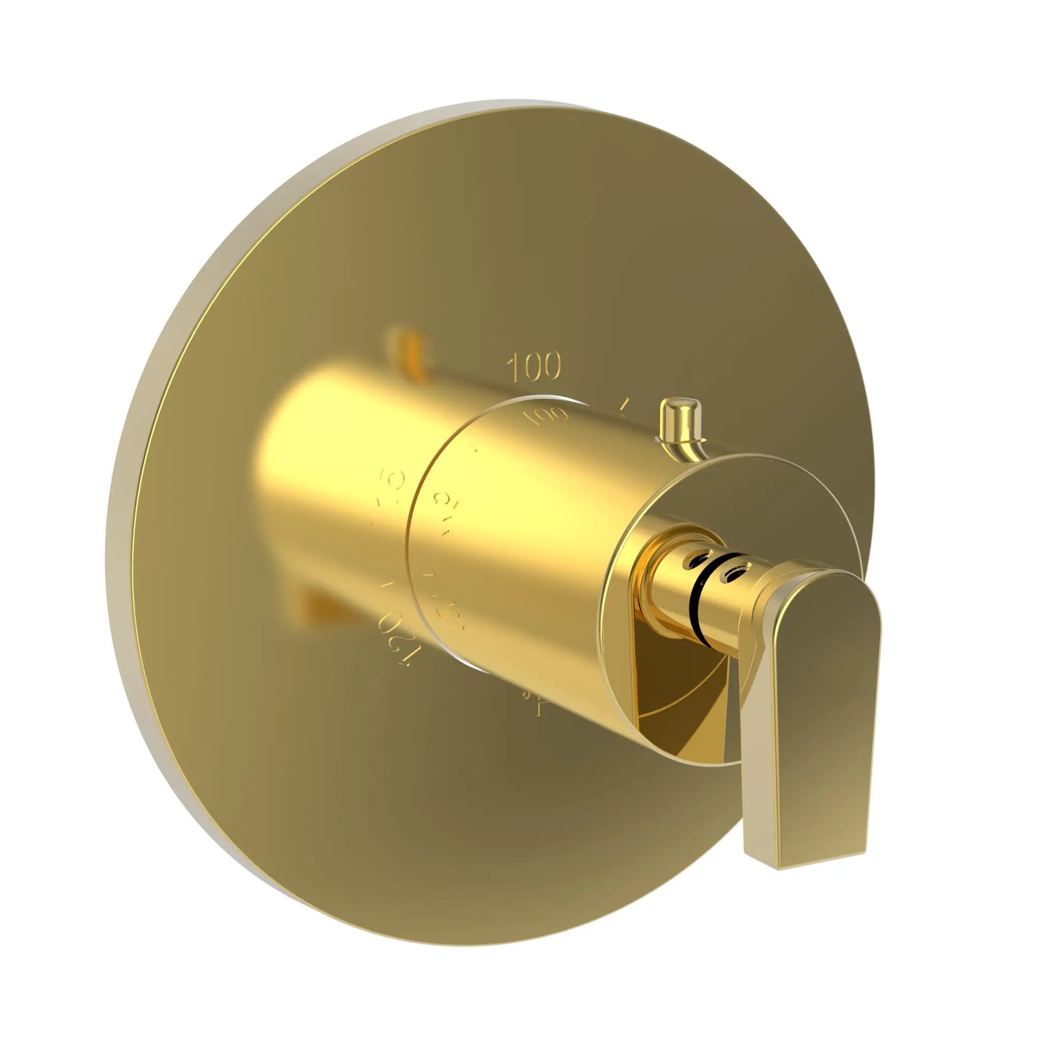 Newport Brass Dorrance 3/4" Round Thermostatic Trim Plate with Handle by Newport Brass