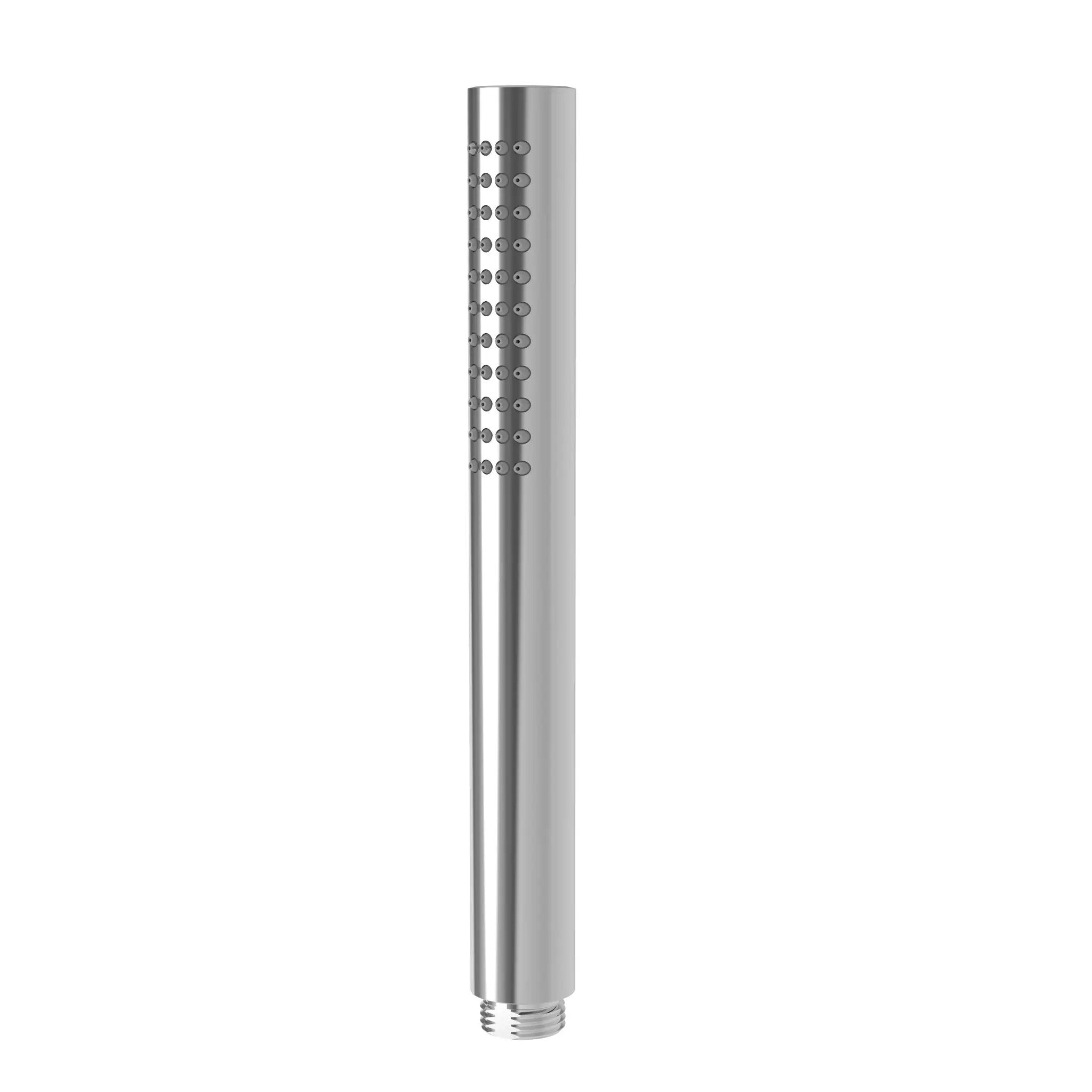 polished chrome hand shower