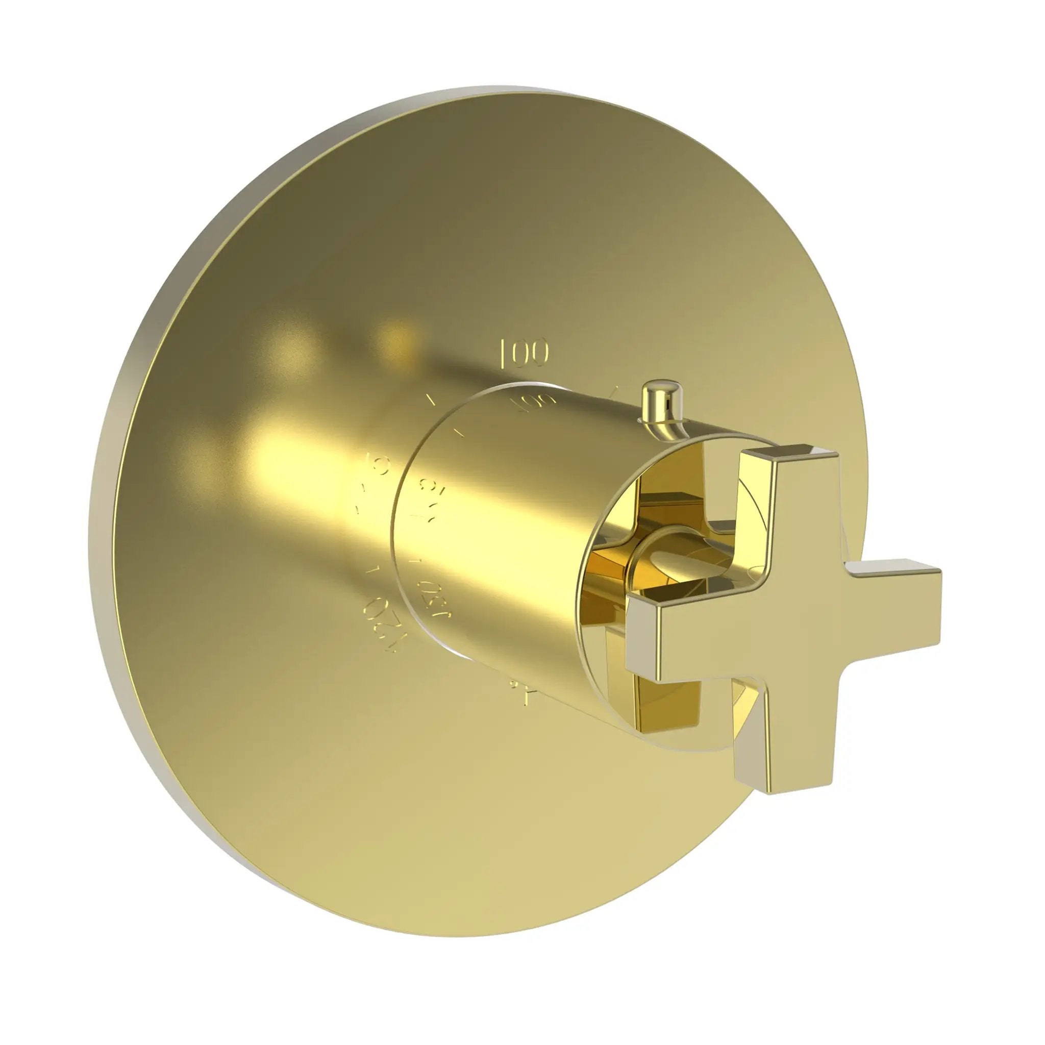 Newport Brass Dorrance 3/4" Round Thermostatic Trim Plate with Handle by Newport Brass