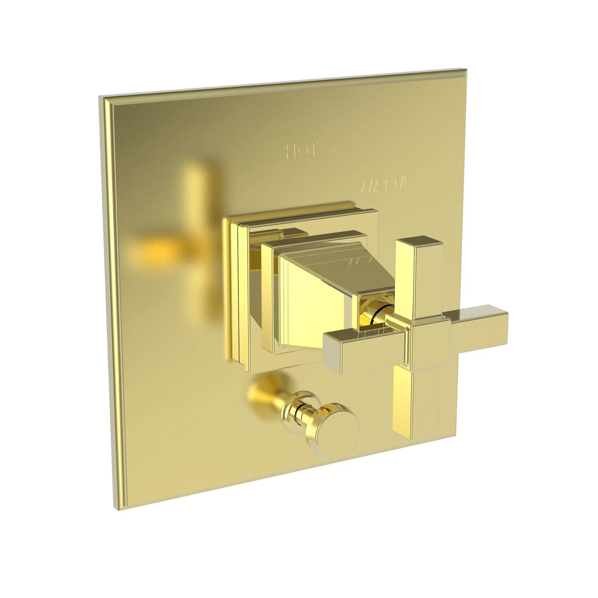 Newport Brass Malvina Balanced Pressure Tub & Shower Diverter Plate with Handle by Newport Brass