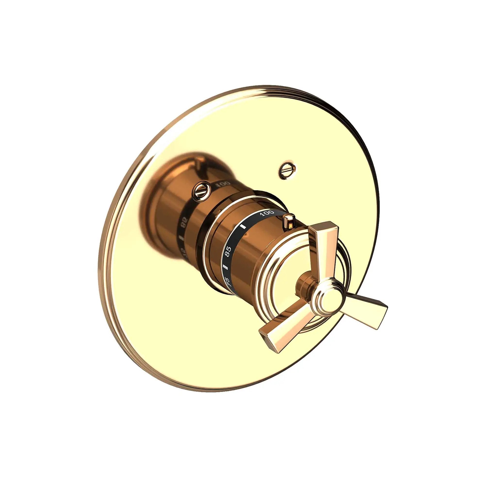 Newport Brass Miro 3/4" Round Thermostatic Trim Plate with Handle by Newport Brass