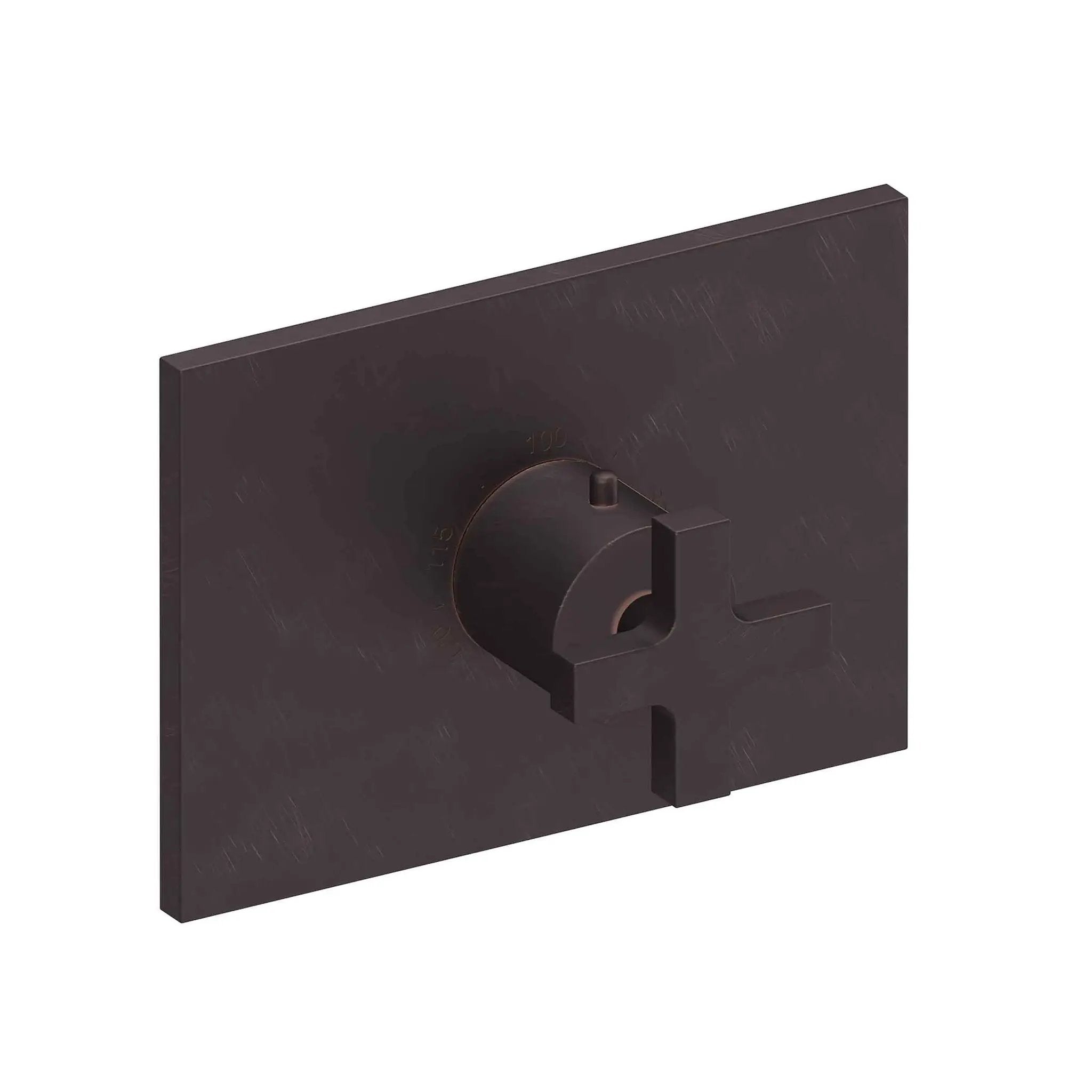 Newport Brass Secant 3/4" Rectangular Thermostatic Trim Plate with Handle by Newport Brass