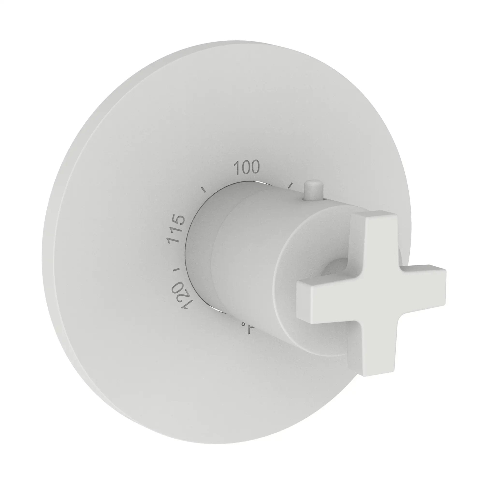 Newport Brass Dorrance 3/4" Round Thermostatic Trim Plate with Handle by Newport Brass