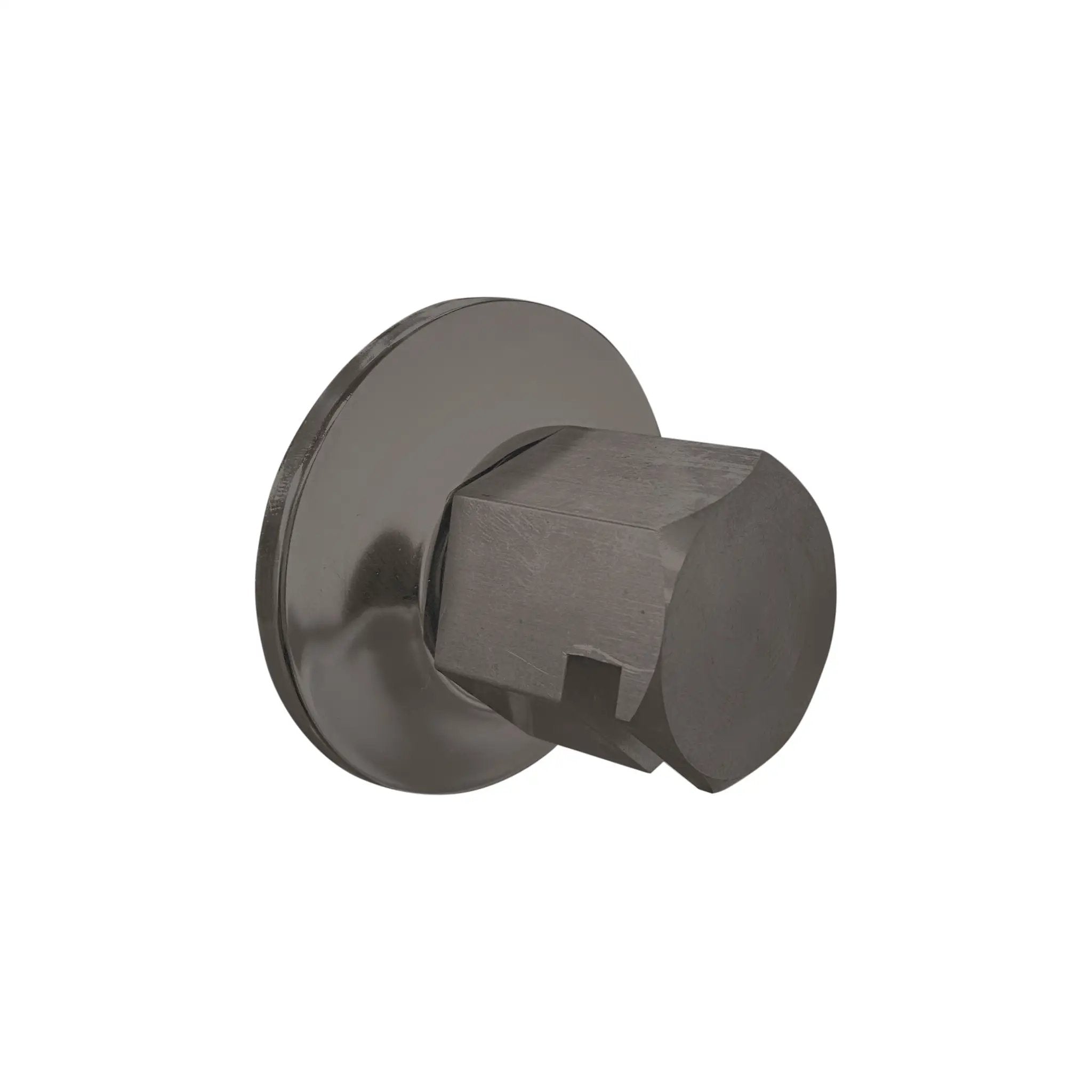 Thermasol Traditional 0.75" Style Steam Head by Thermasol