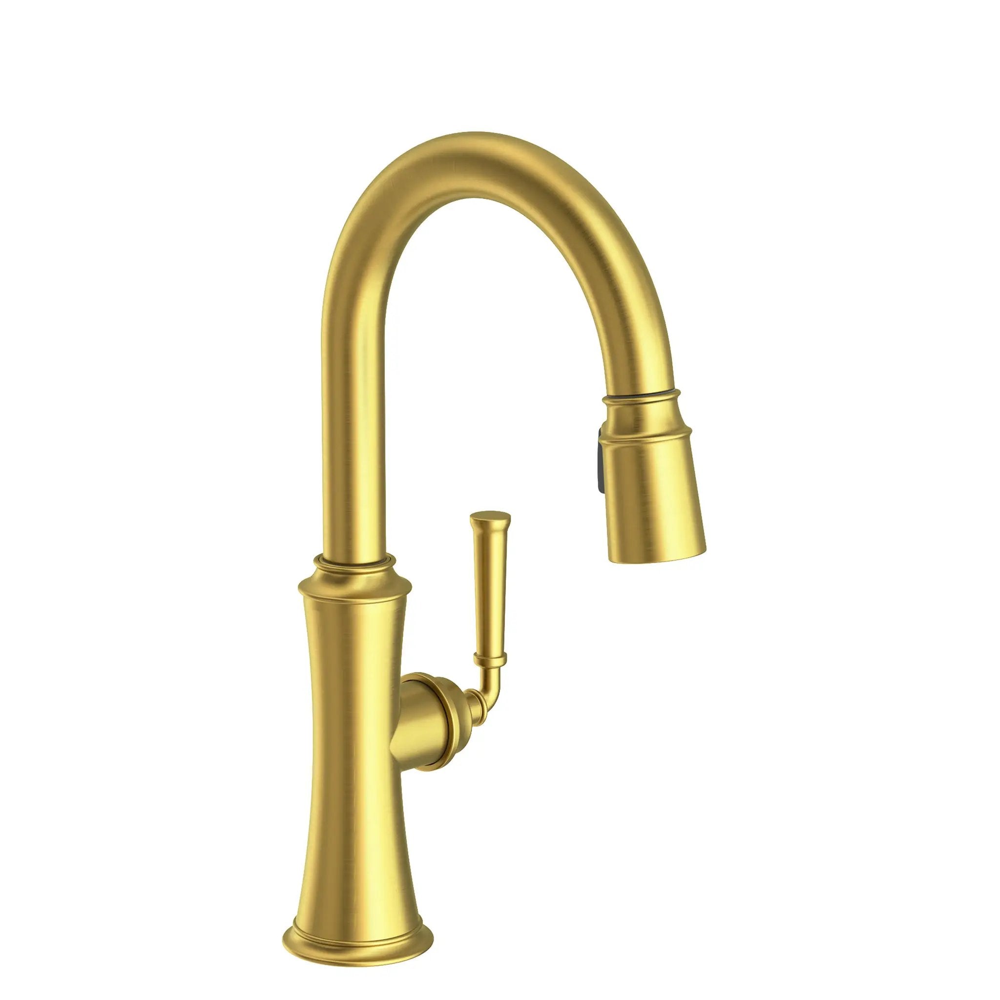 Newport Brass Stripling Prep/Bar Pull Down Faucet by Newport Brass