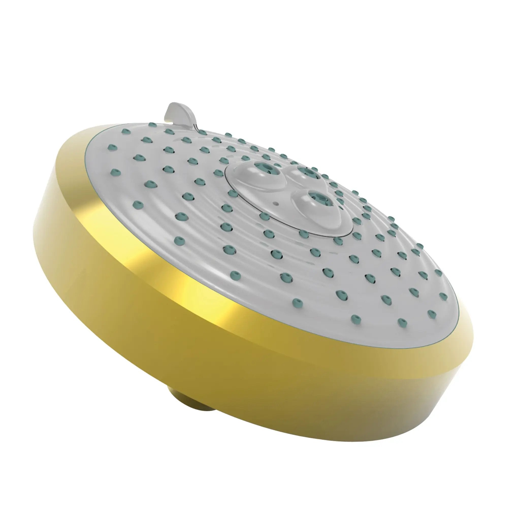 Newport Brass Tub & Shower Multifunction Showerhead by Newport Brass