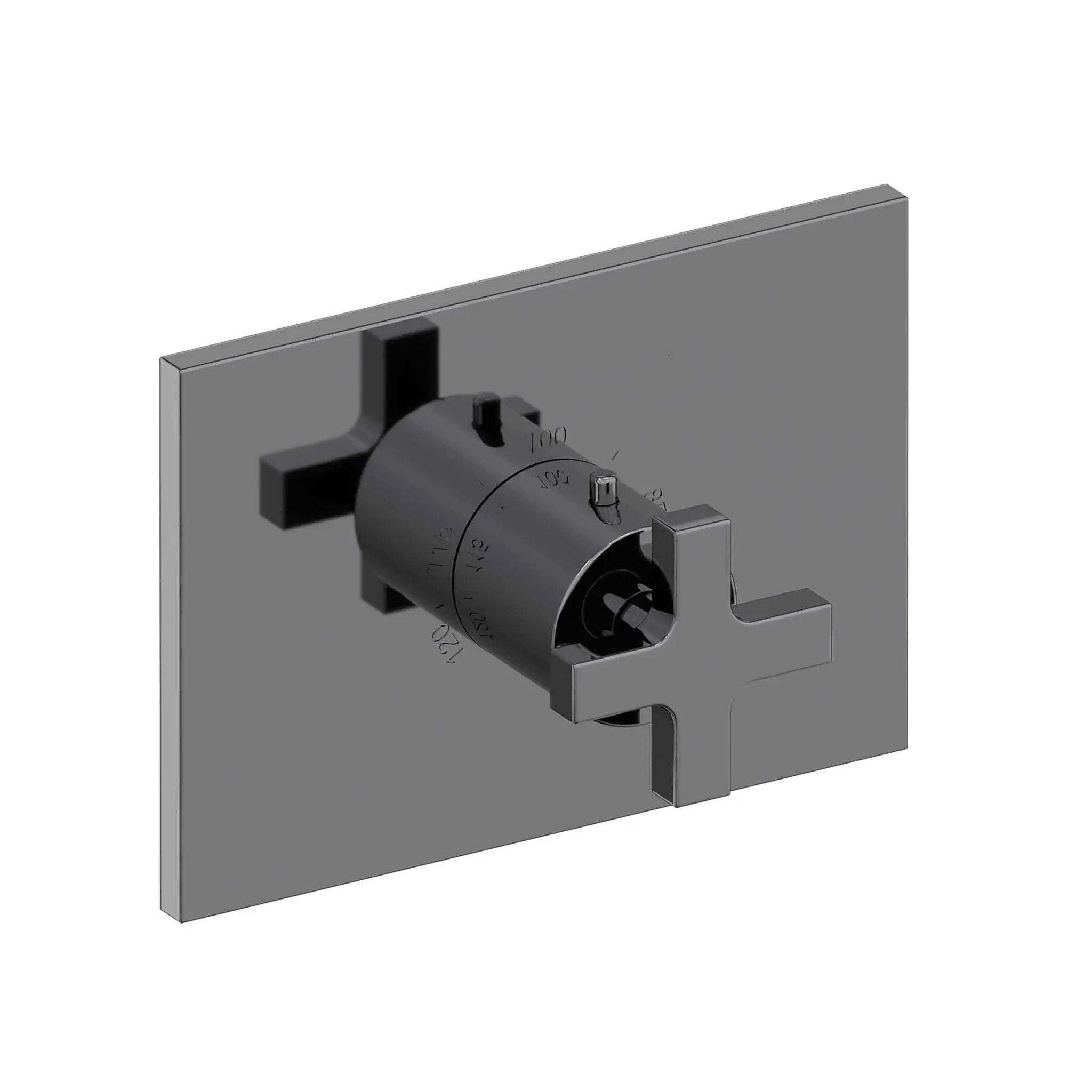 Newport Brass Secant 3/4" Rectangular Thermostatic Trim Plate with Handle by Newport Brass