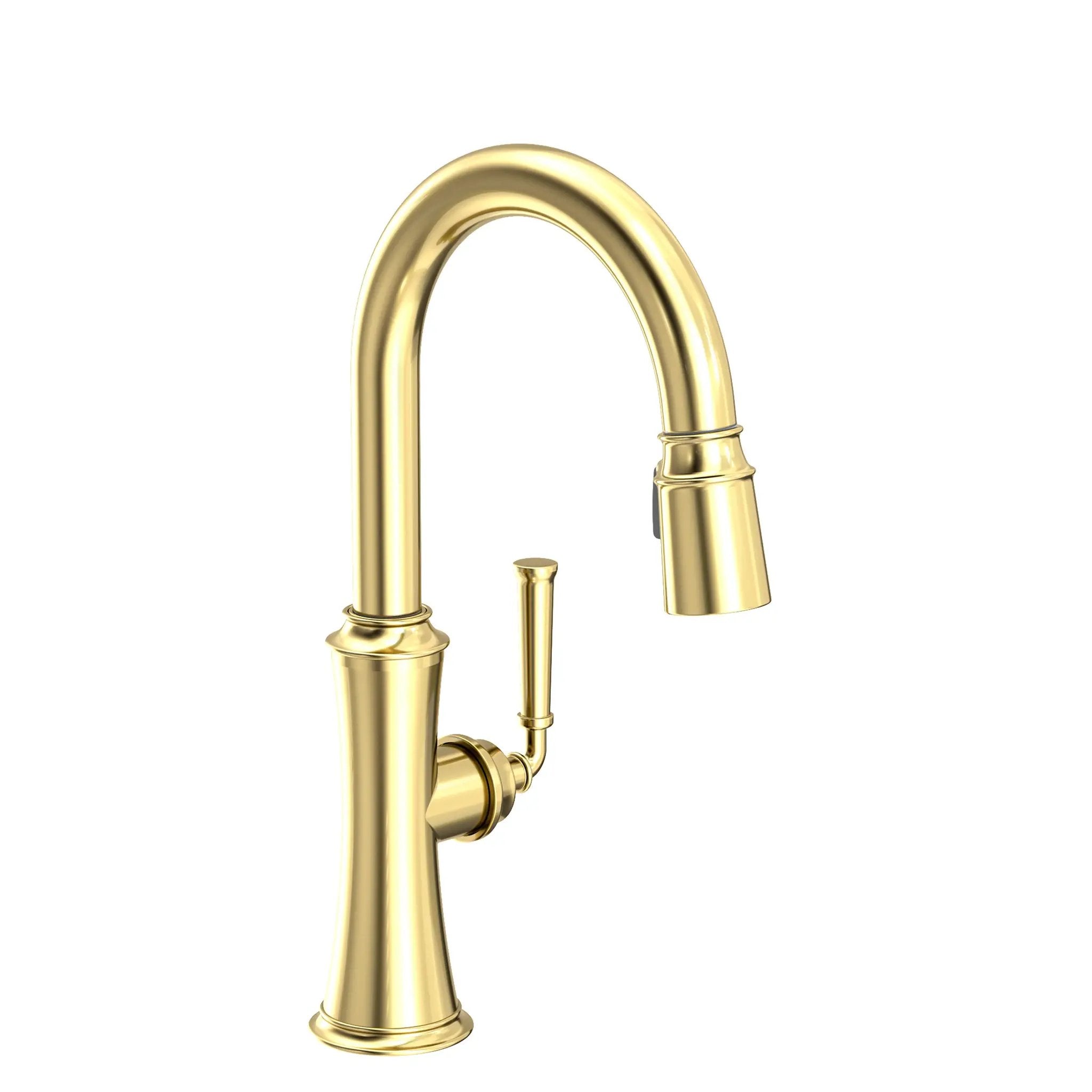 Newport Brass Stripling Prep/Bar Pull Down Faucet by Newport Brass