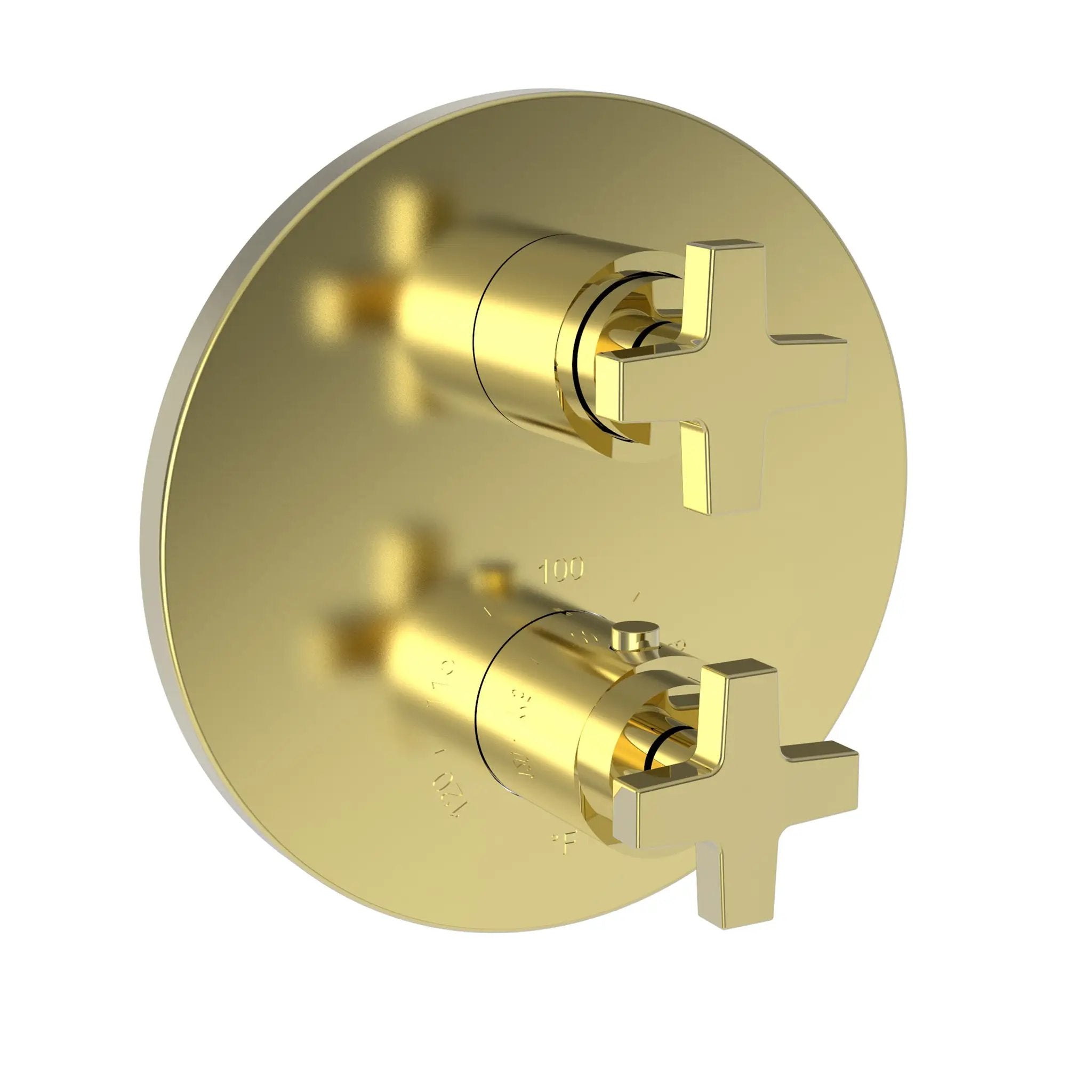 Newport Brass Dorrance 1/2" Round Thermostatic Trim Plate with Handle by Newport Brass
