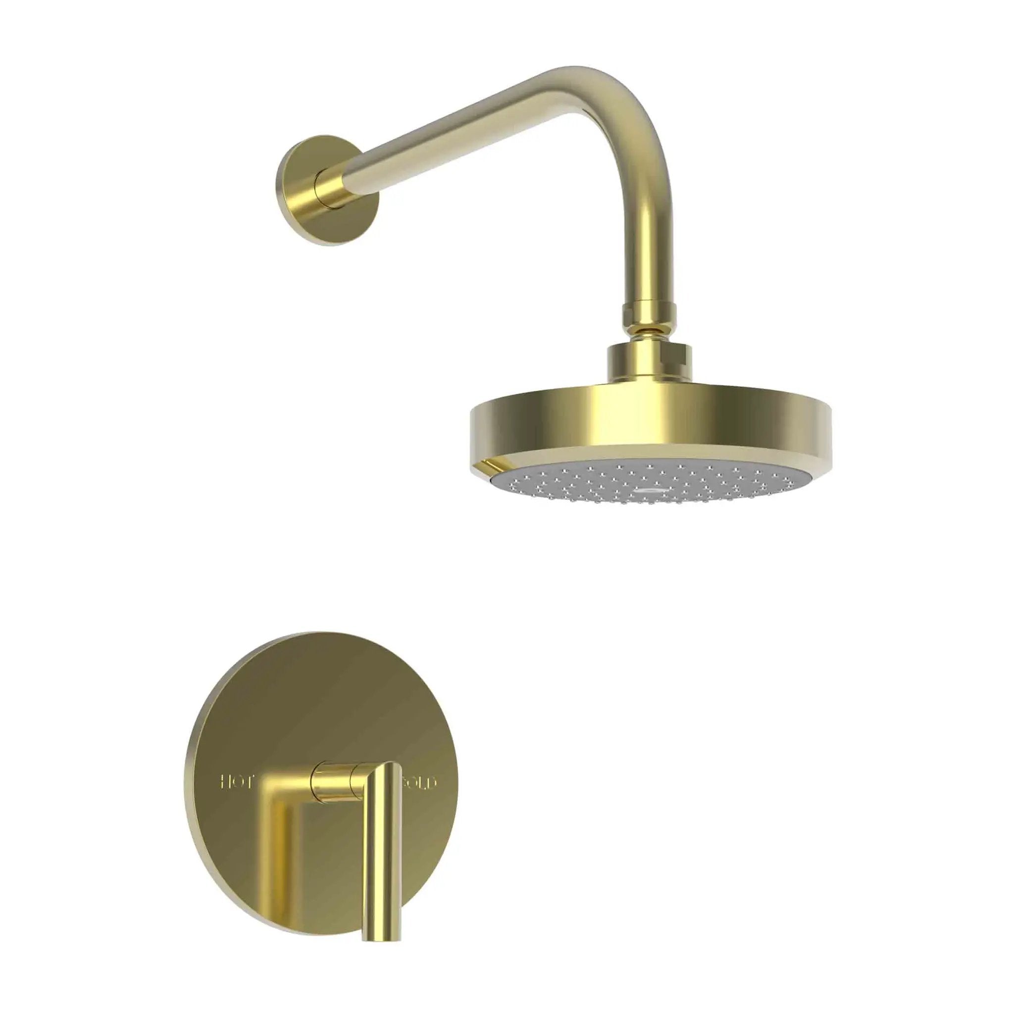 Newport Brass Pavani Balanced Pressure Shower Trim Set by Newport Brass