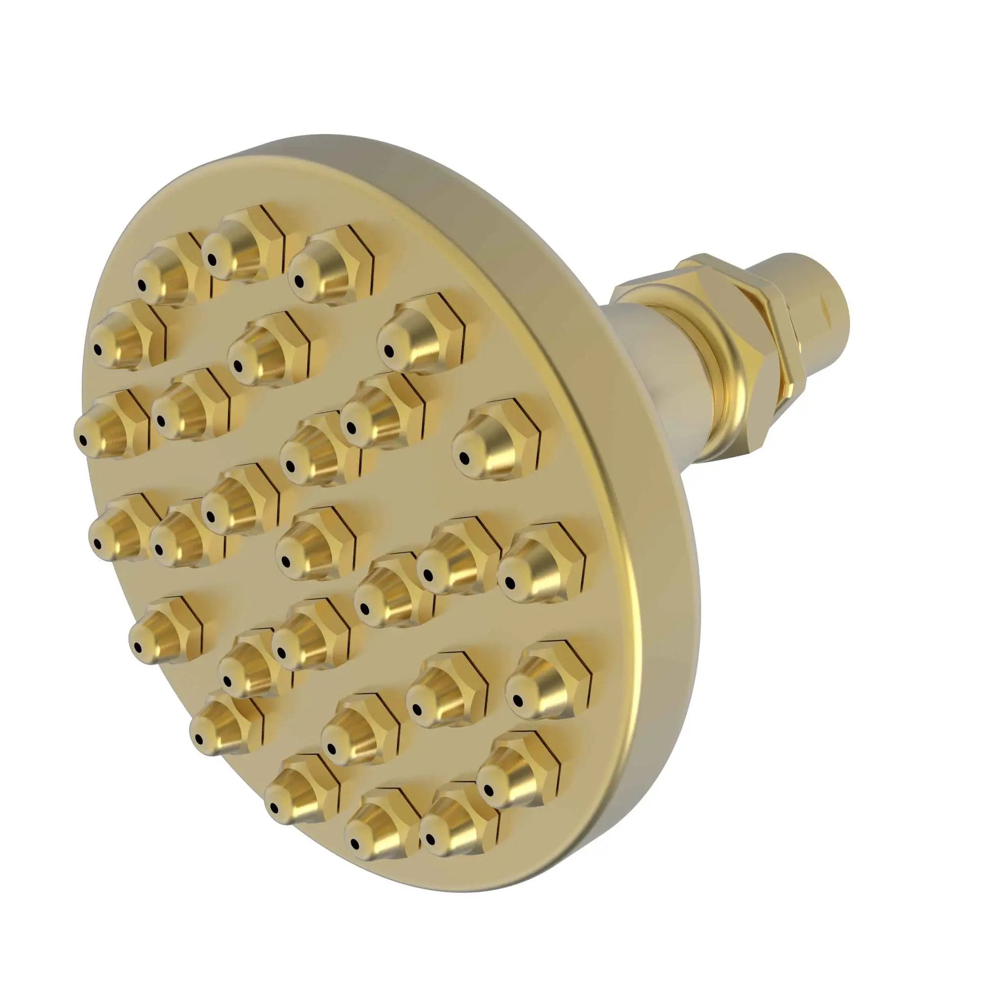 Newport Brass Tub & Shower Single Function Shower Head by Newport Brass