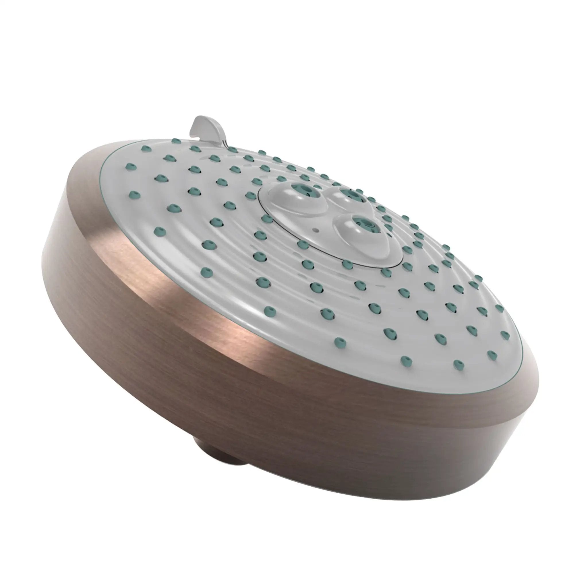 Newport Brass Tub & Shower Multifunction Showerhead by Newport Brass
