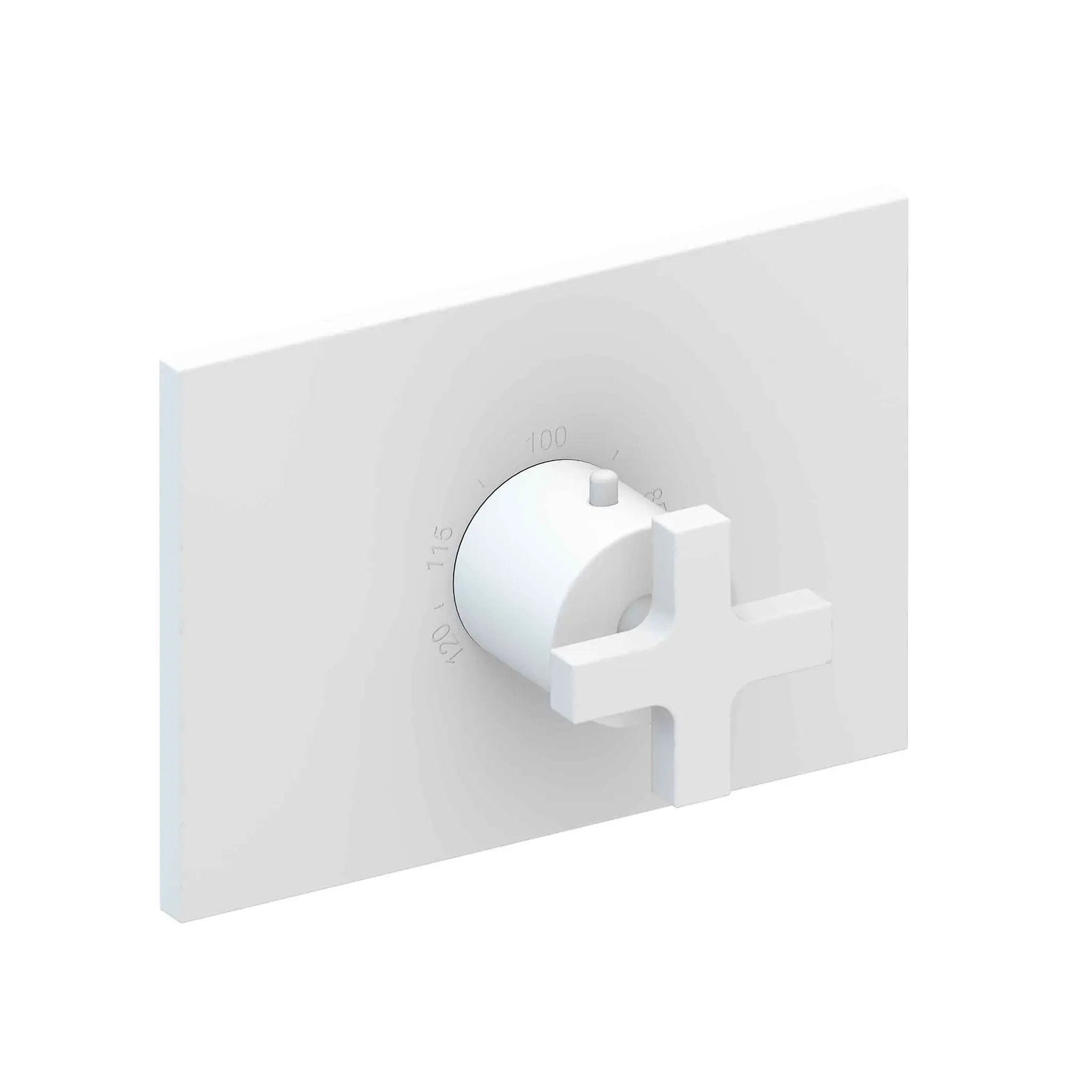 Newport Brass Secant 3/4" Rectangular Thermostatic Trim Plate with Handle by Newport Brass