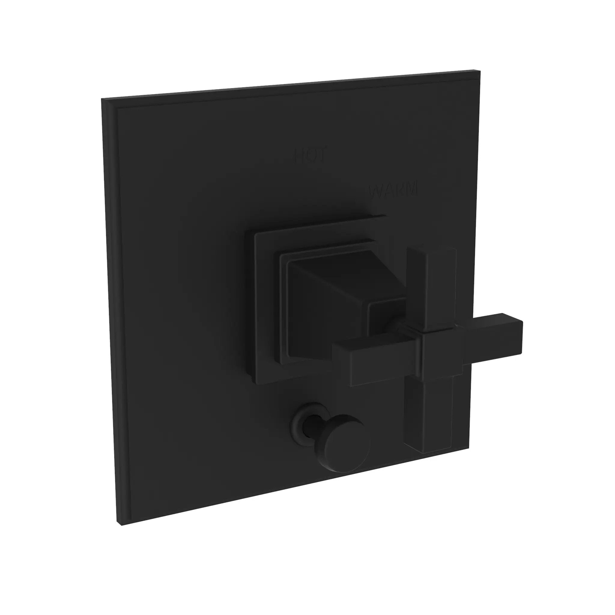 Newport Brass Malvina Balanced Pressure Tub & Shower Diverter Plate with Handle by Newport Brass