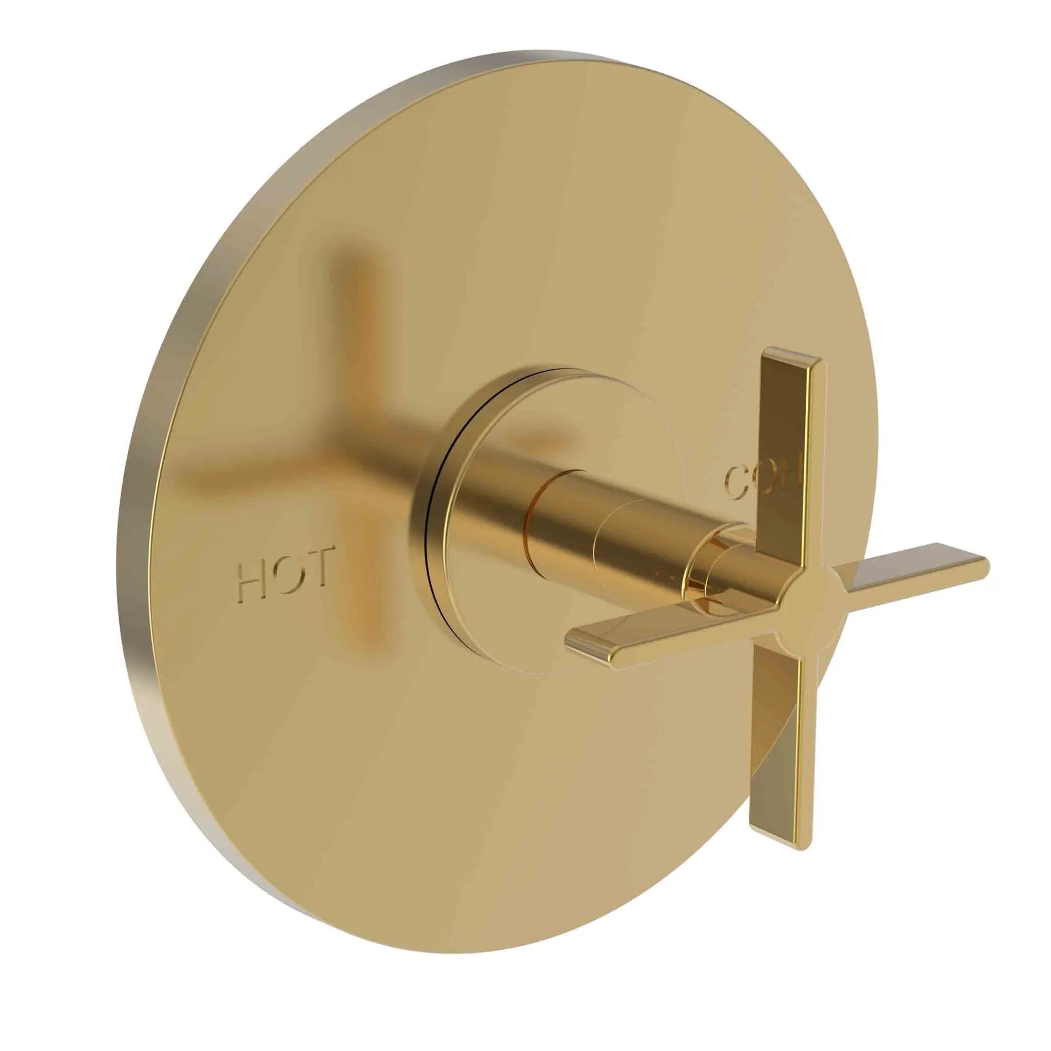 Newport Brass Tolmin Balanced Pressure Shower Trim Plate with Handle. Less showerhead, arm and flange. by Newport Brass