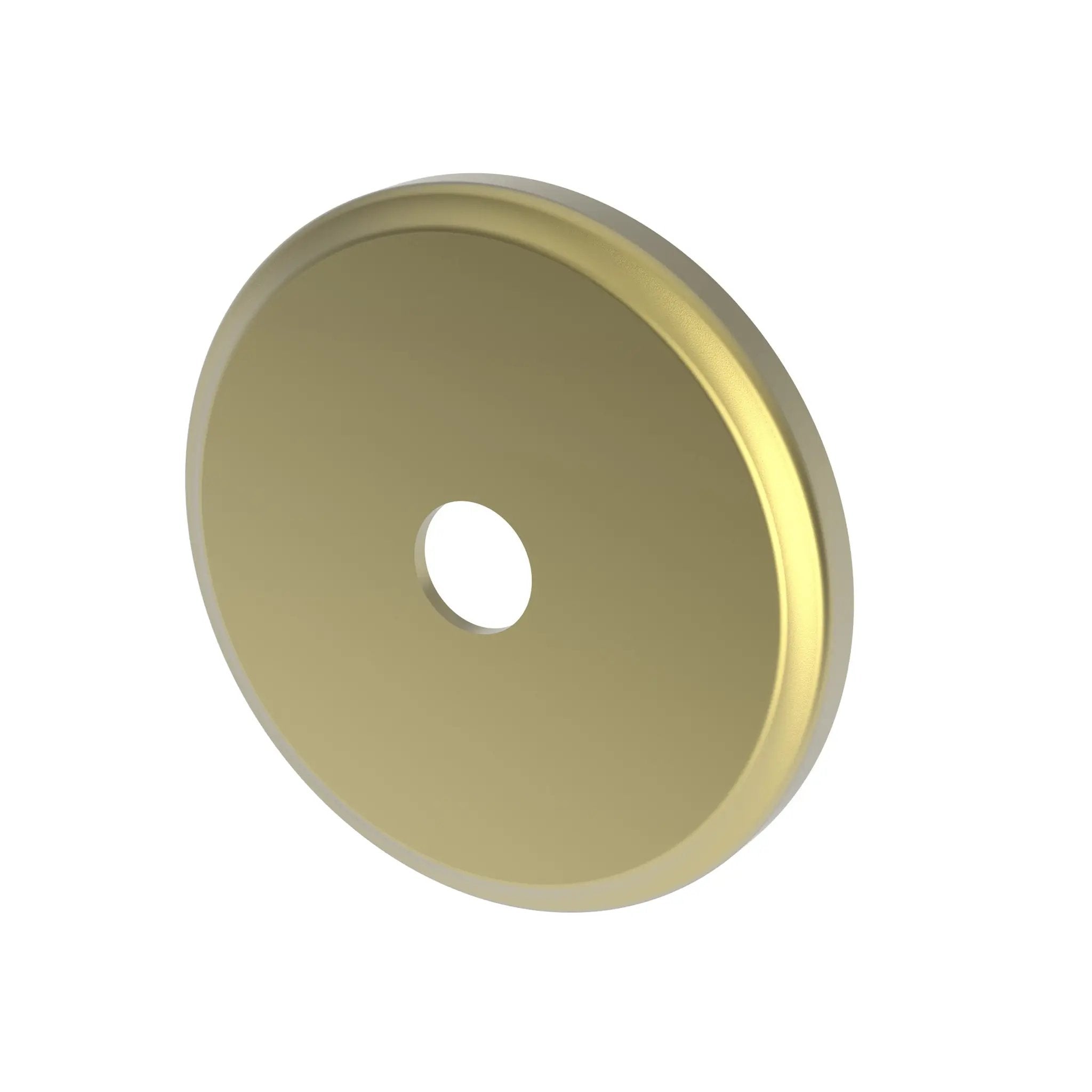 Newport Brass Tub & Shower Diverter Plate by Newport Brass