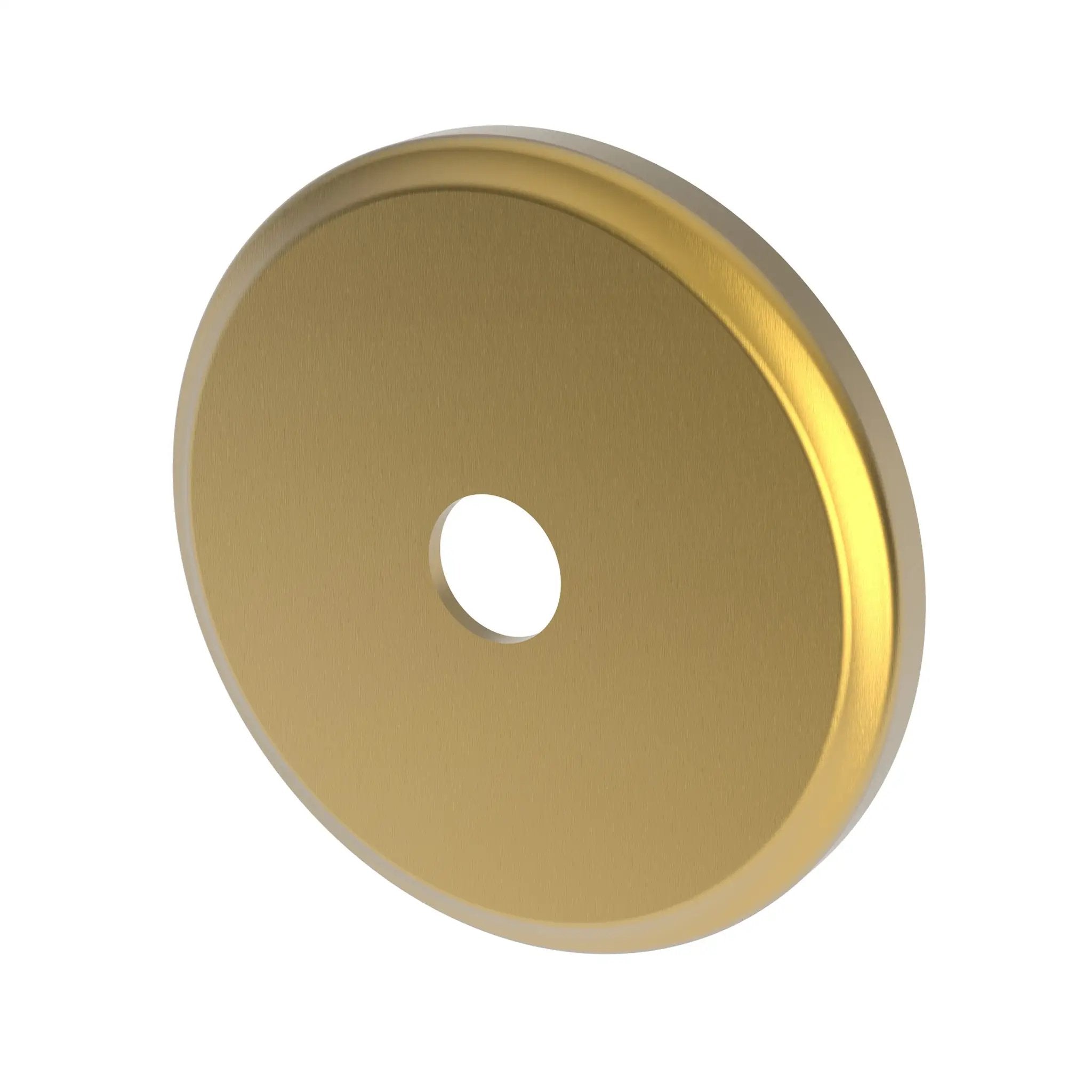 Newport Brass Tub & Shower Diverter Plate by Newport Brass