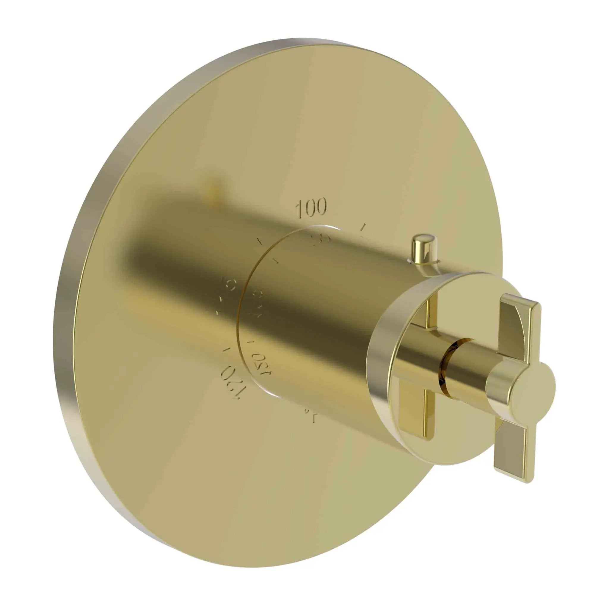 Newport Brass Tolmin 3/4" Round Thermostatic Trim Plate with Handle by Newport Brass
