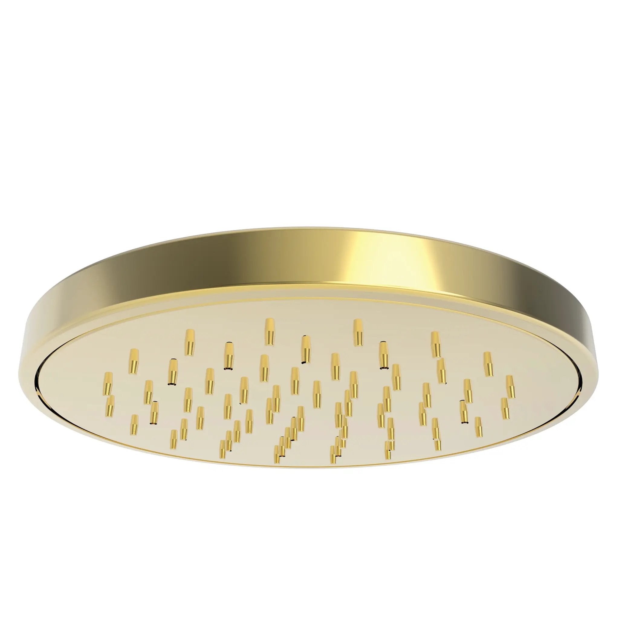 Newport Brass Tub & Shower Rainfall Shower Head by Newport Brass