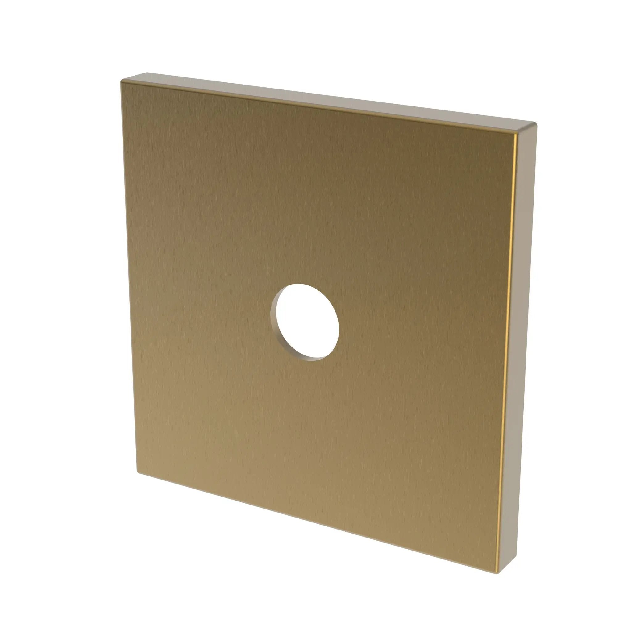 Newport Brass Tub & Shower Diverter Plate by Newport Brass