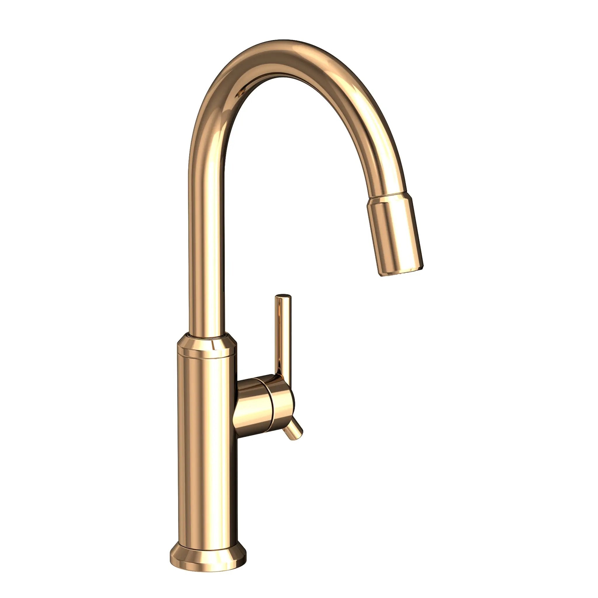 Newport Brass Jeter Pull-down Kitchen Faucet by Newport Brass
