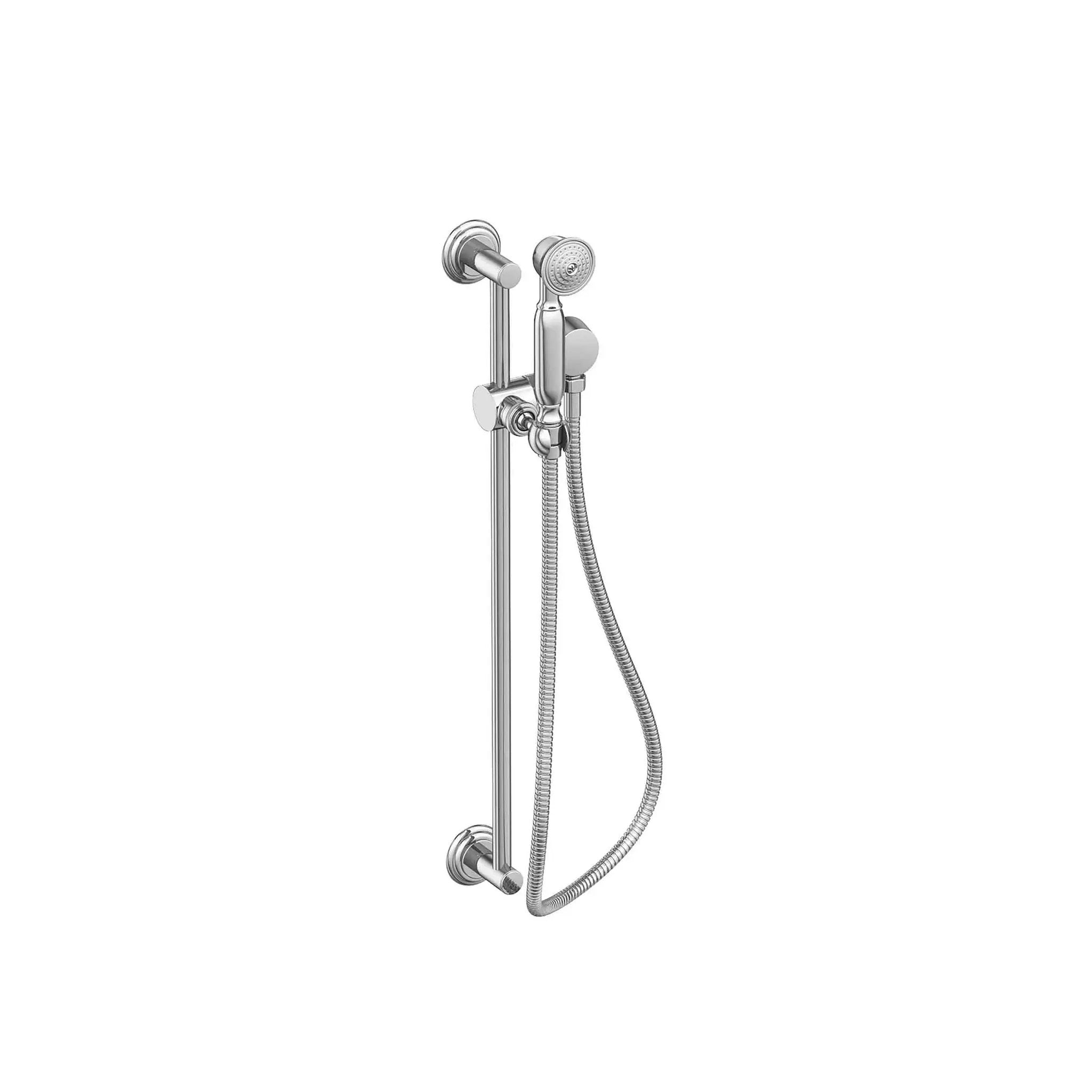 polished chrome hand shower