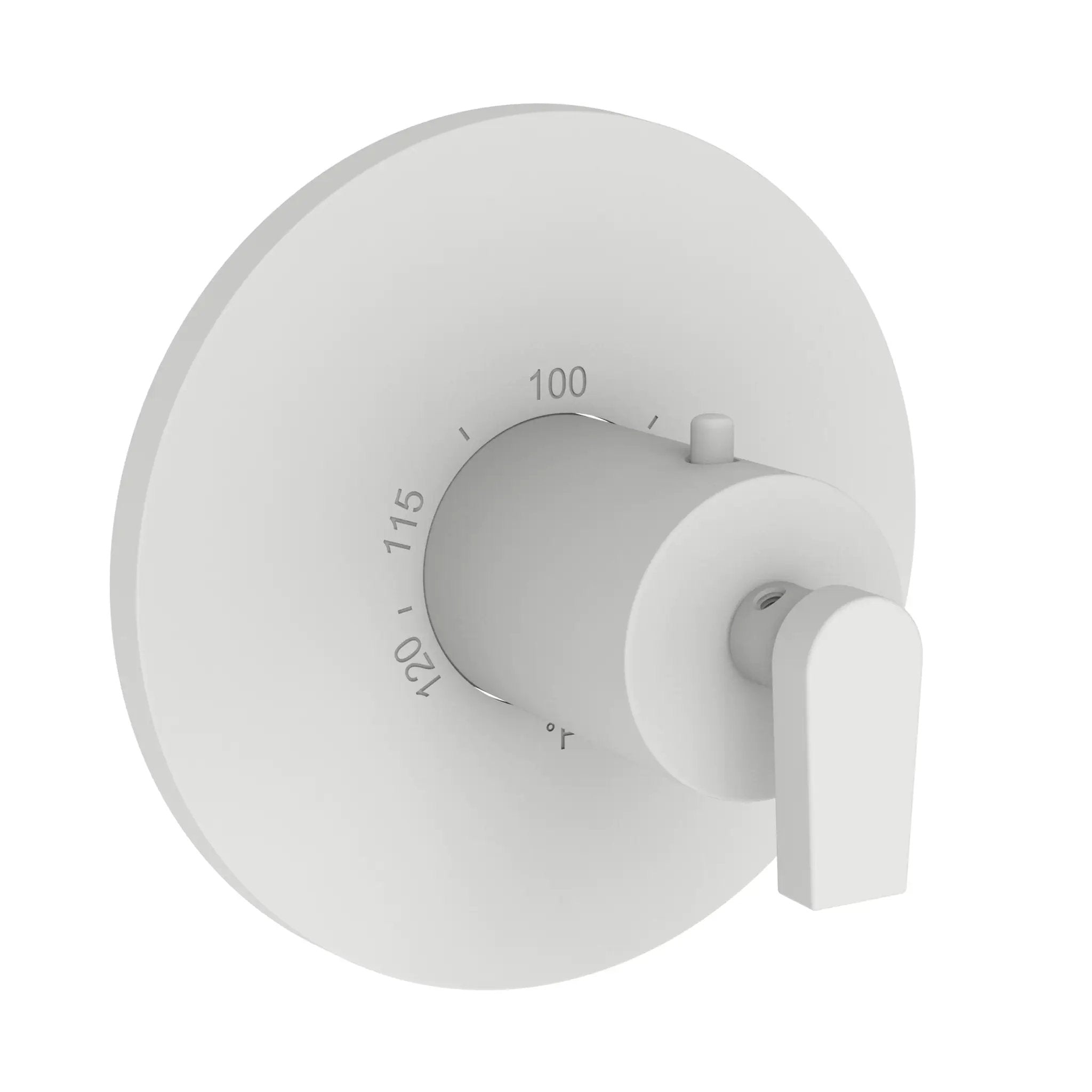 Newport Brass Dorrance 3/4" Round Thermostatic Trim Plate with Handle by Newport Brass