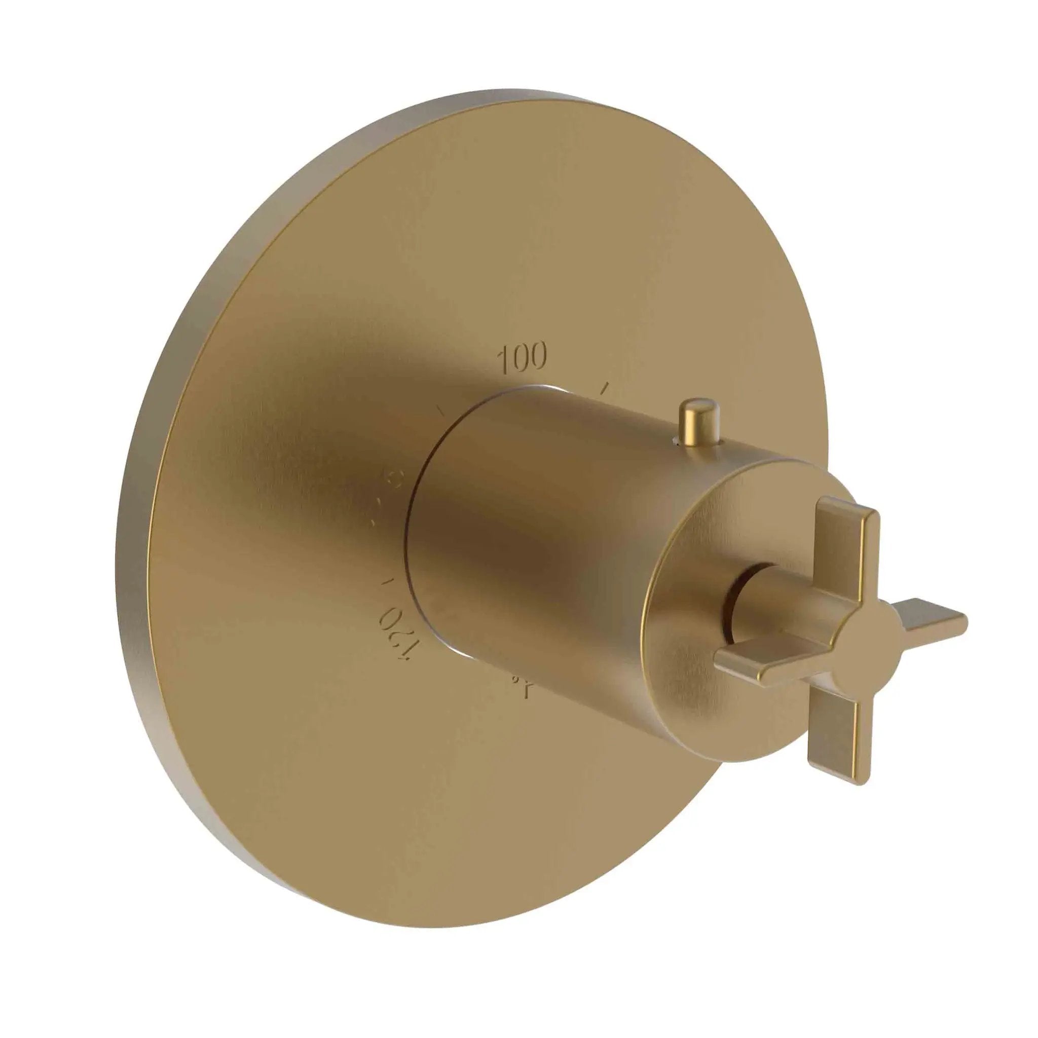 Newport Brass Tolmin 3/4" Round Thermostatic Trim Plate with Handle by Newport Brass