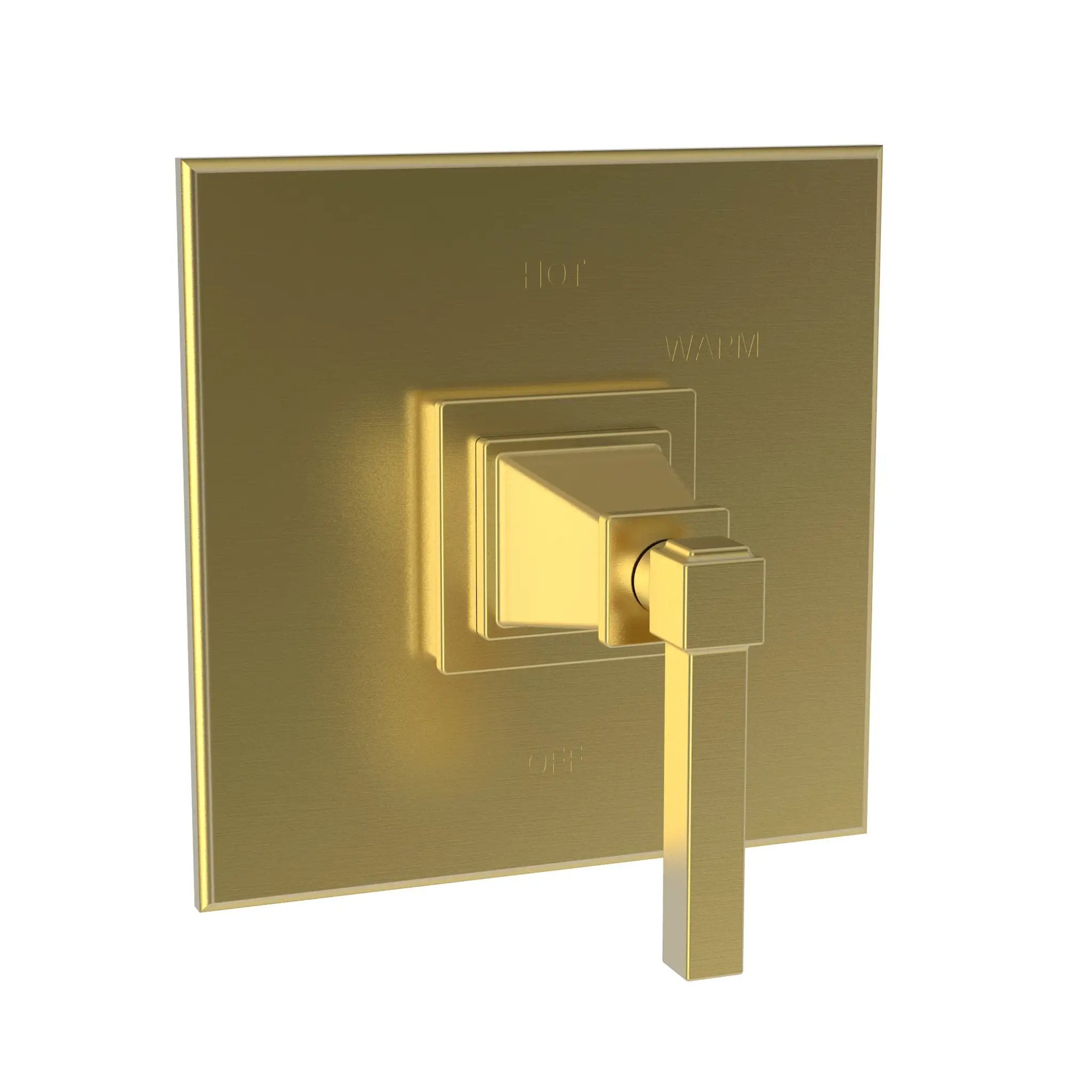 Newport Brass Malvina Balanced Pressure Shower Trim Plate with Handle. Less showerhead, arm and flange. by Newport Brass