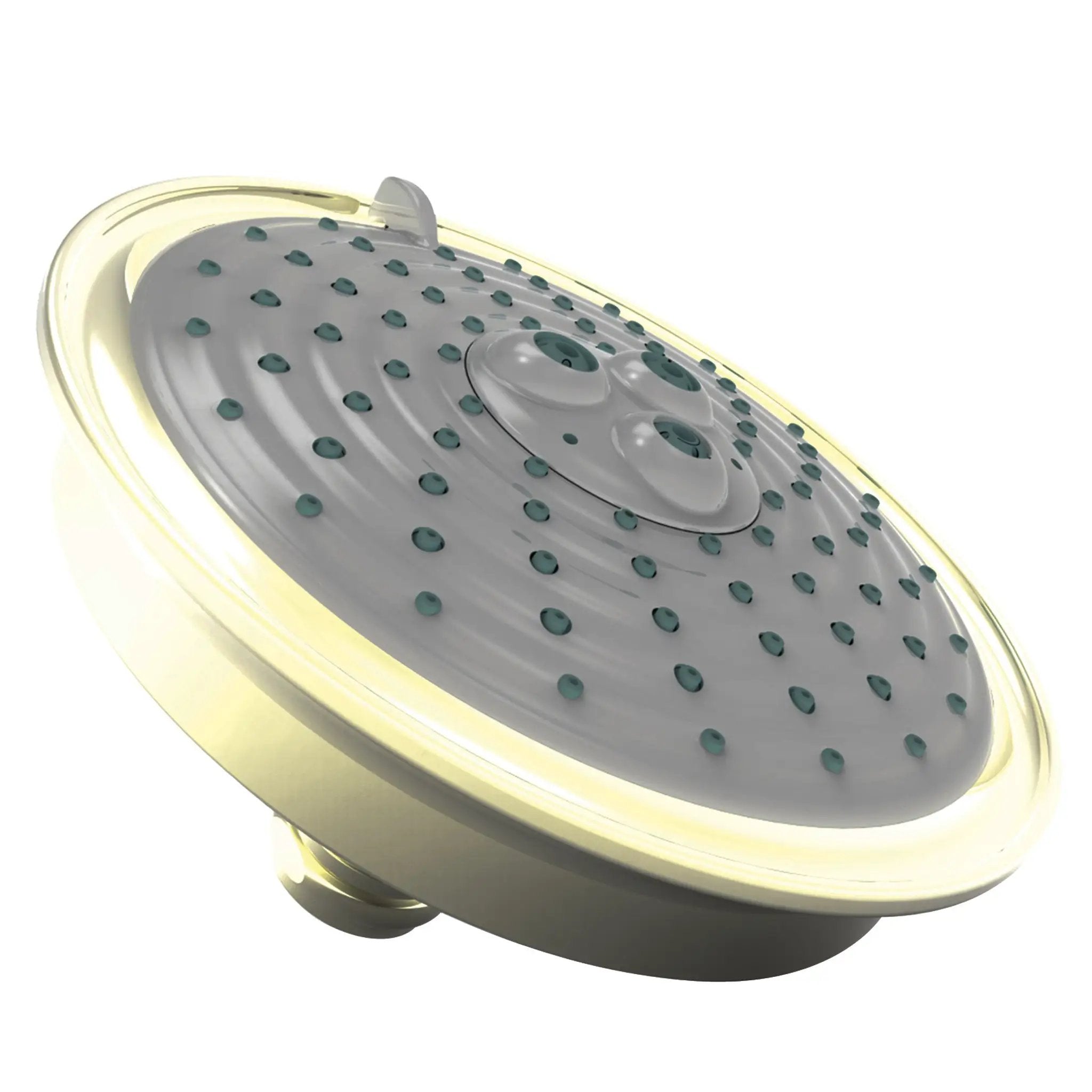 Newport Brass Tub & Shower Multifunction Showerhead by Newport Brass