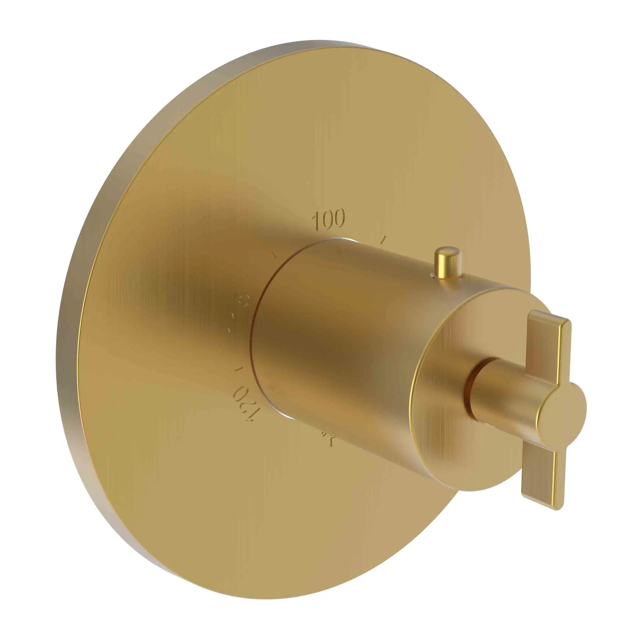 Newport Brass Tolmin 3/4" Round Thermostatic Trim Plate with Handle by Newport Brass