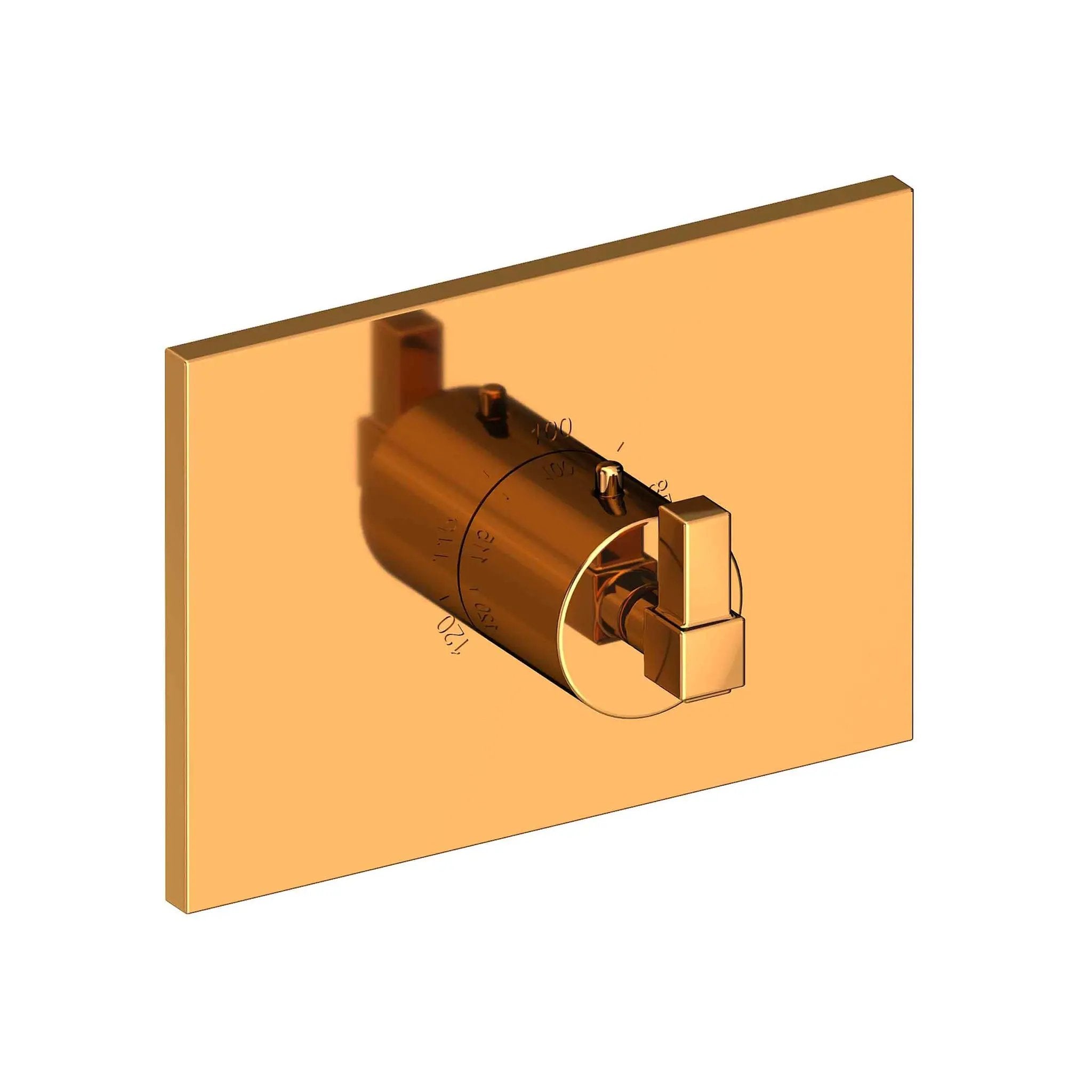Newport Brass Malvina 3/4" Square Thermostatic Trim Plate with Handle by Newport Brass